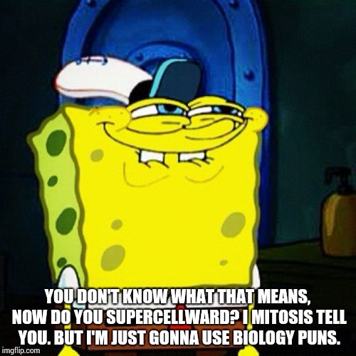 You Like Krabby Patties Don't You Squidward | YOU DON'T KNOW WHAT THAT MEANS, NOW DO YOU SUPERCELLWARD? I MITOSIS TELL YOU. BUT I'M JUST GONNA USE BIOLOGY PUNS. | image tagged in you like krabby patties don't you squidward | made w/ Imgflip meme maker