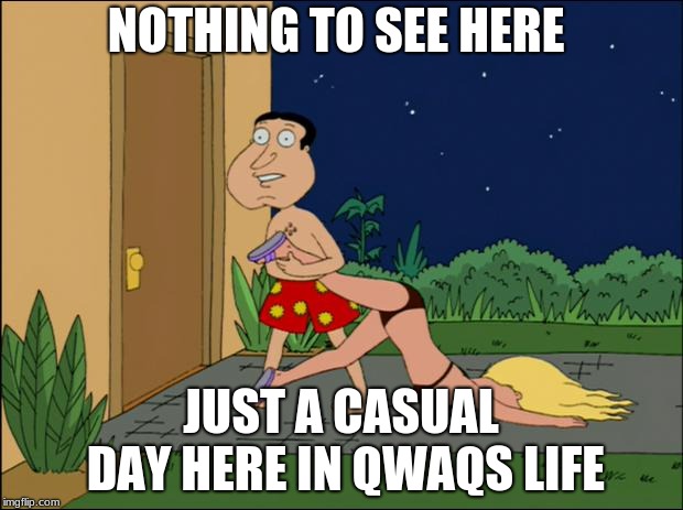 family guy quagmire | NOTHING TO SEE HERE; JUST A CASUAL DAY HERE IN QWAQS LIFE | image tagged in family guy quagmire | made w/ Imgflip meme maker