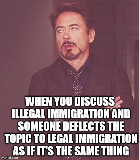 Not connected in the slightest... | WHEN YOU DISCUSS ILLEGAL IMMIGRATION AND SOMEONE DEFLECTS THE TOPIC TO LEGAL IMMIGRATION AS IF IT'S THE SAME THING | image tagged in memes,face you make robert downey jr,illegal immigration | made w/ Imgflip meme maker