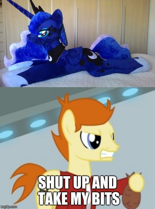 SHUT UP AND TAKE MY BITS | image tagged in fry mlp | made w/ Imgflip meme maker