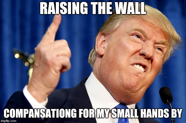 Donald Trump | RAISING THE WALL; COMPANSATIONG FOR MY SMALL HANDS BY | image tagged in donald trump | made w/ Imgflip meme maker