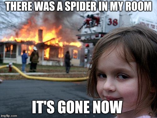 Disaster Girl | THERE WAS A SPIDER IN MY ROOM; IT'S GONE NOW | image tagged in memes,disaster girl | made w/ Imgflip meme maker