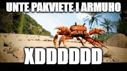 Crab rave gif | UNTE PAKVIETE I ARMUHO; XDDDDDD | image tagged in crab rave gif | made w/ Imgflip meme maker