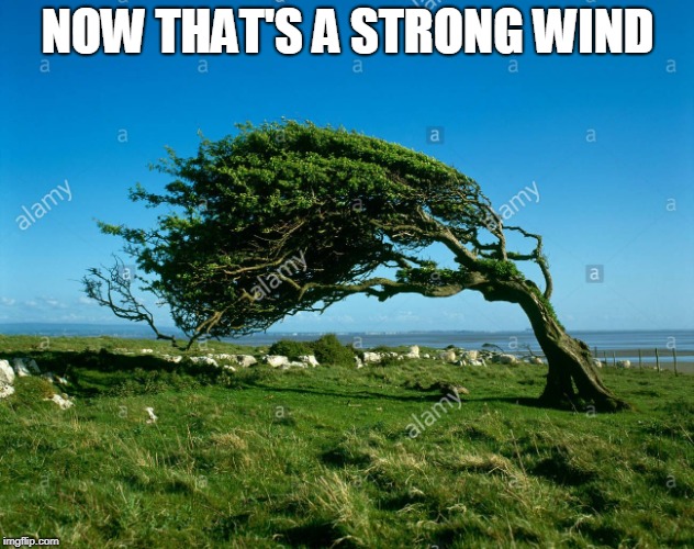 wind | NOW THAT'S A STRONG WIND | image tagged in wind | made w/ Imgflip meme maker