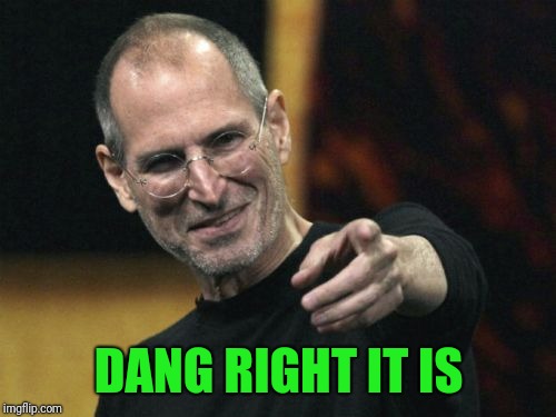 Steve Jobs Meme | DANG RIGHT IT IS | image tagged in memes,steve jobs | made w/ Imgflip meme maker