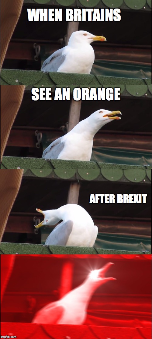 Inhaling Seagull | WHEN BRITAINS; SEE AN ORANGE; AFTER BREXIT | image tagged in memes,inhaling seagull | made w/ Imgflip meme maker
