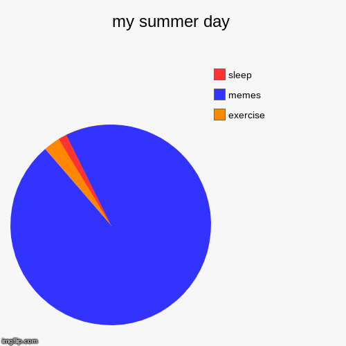 my summer day | exercise, memes, sleep | image tagged in funny,pie charts | made w/ Imgflip chart maker
