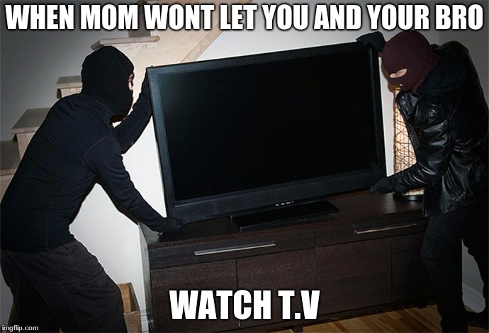 Stealing TV | WHEN MOM WONT LET YOU AND YOUR BRO; WATCH T.V | image tagged in stealing tv | made w/ Imgflip meme maker