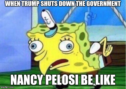 Mocking Spongebob Meme | WHEN TRUMP SHUTS DOWN THE GOVERNMENT; NANCY PELOSI BE LIKE | image tagged in memes,mocking spongebob | made w/ Imgflip meme maker