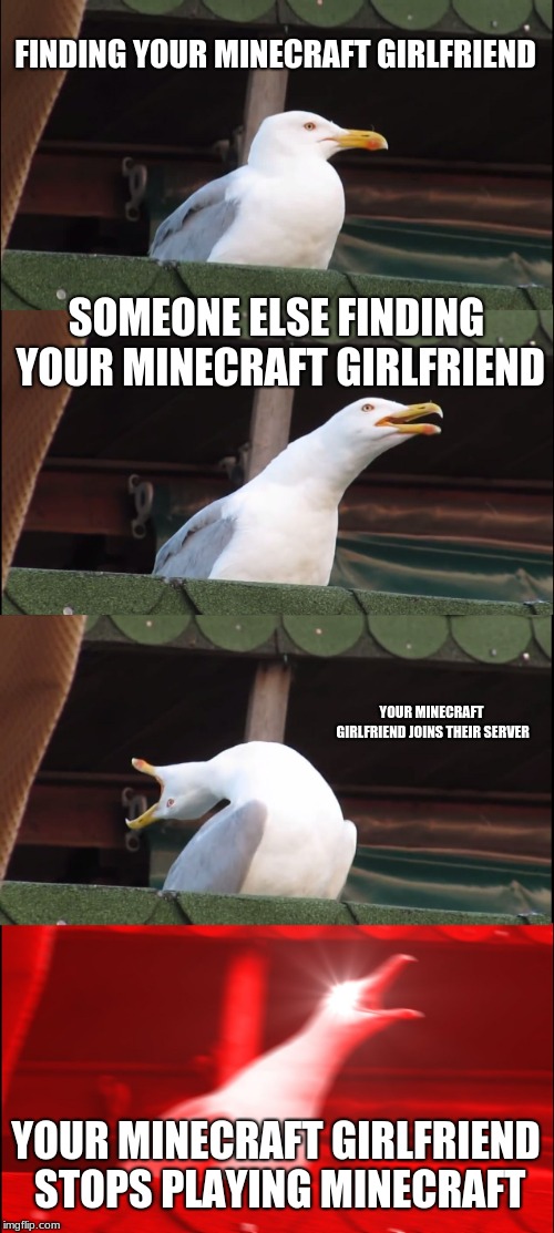 Inhaling Seagull | FINDING YOUR MINECRAFT GIRLFRIEND; SOMEONE ELSE FINDING YOUR MINECRAFT GIRLFRIEND; YOUR MINECRAFT GIRLFRIEND JOINS THEIR SERVER; YOUR MINECRAFT GIRLFRIEND STOPS PLAYING MINECRAFT | image tagged in memes,inhaling seagull | made w/ Imgflip meme maker