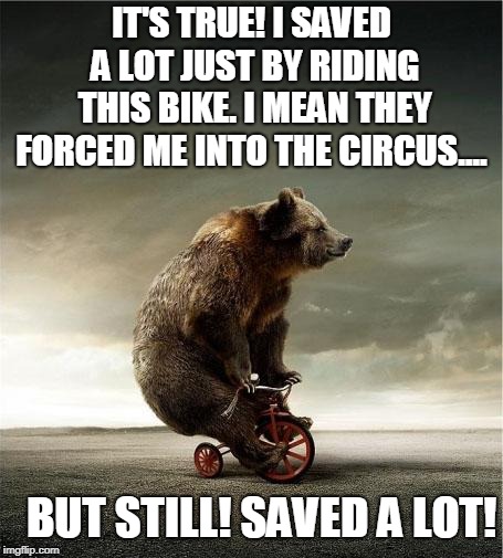 bear bicycle | IT'S TRUE! I SAVED A LOT JUST BY RIDING THIS BIKE. I MEAN THEY FORCED ME INTO THE CIRCUS.... BUT STILL! SAVED A LOT! | image tagged in bear bicycle | made w/ Imgflip meme maker