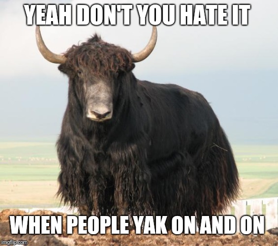 You Aren't Special Yak  | YEAH DON'T YOU HATE IT WHEN PEOPLE YAK ON AND ON | image tagged in you aren't special yak | made w/ Imgflip meme maker