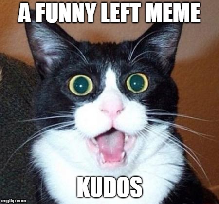 Surprised cat lol | A FUNNY LEFT MEME KUDOS | image tagged in surprised cat lol | made w/ Imgflip meme maker