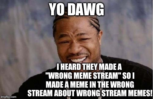 Yo Dawg Heard You Meme | YO DAWG I HEARD THEY MADE A "WRONG MEME STREAM" SO I MADE A MEME IN THE WRONG STREAM ABOUT WRONG STREAM MEMES! | image tagged in memes,yo dawg heard you | made w/ Imgflip meme maker