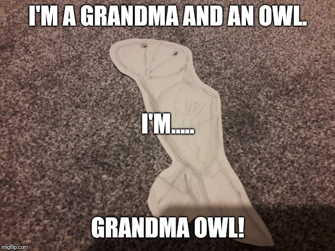 Grandma owl | I'M A GRANDMA AND AN OWL. I'M..... GRANDMA OWL! | image tagged in owl | made w/ Imgflip meme maker