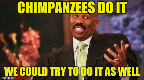 Steve Harvey Meme | CHIMPANZEES DO IT WE COULD TRY TO DO IT AS WELL | image tagged in memes,steve harvey | made w/ Imgflip meme maker