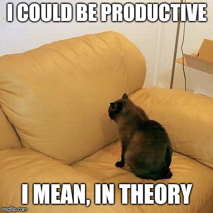 Productive cat | I COULD BE PRODUCTIVE I MEAN, IN THEORY | image tagged in productive cat | made w/ Imgflip meme maker