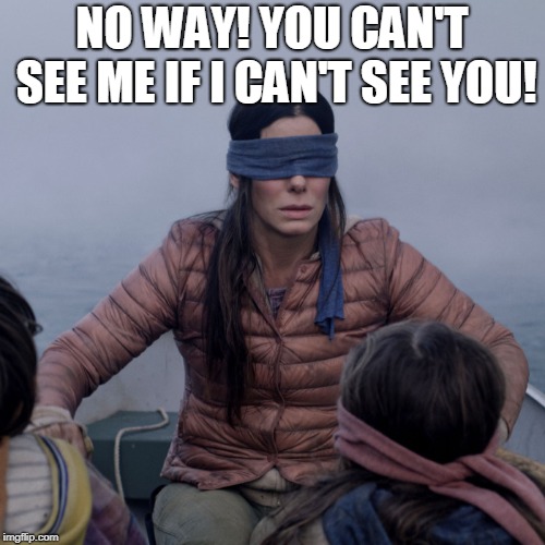 Bird Box Meme | NO WAY! YOU CAN'T SEE ME IF I CAN'T SEE YOU! | image tagged in bird box | made w/ Imgflip meme maker