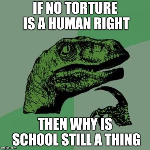 Philosoraptor | IF NO TORTURE IS A HUMAN RIGHT; THEN WHY IS SCHOOL STILL A THING | image tagged in memes,philosoraptor | made w/ Imgflip meme maker