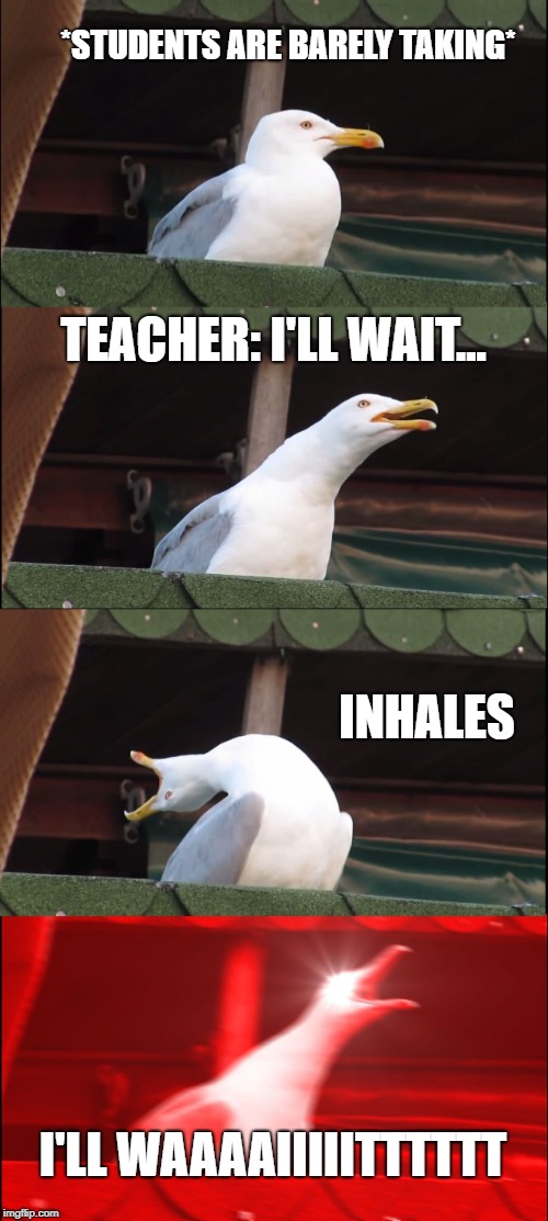 Inhaling Seagull | *STUDENTS ARE BARELY TAKING*; TEACHER: I'LL WAIT... INHALES; I'LL WAAAAIIIIITTTTTT | image tagged in memes,inhaling seagull | made w/ Imgflip meme maker