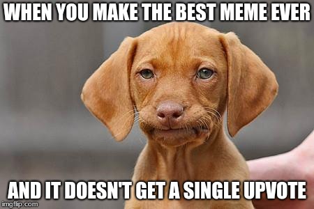 Dissapointed puppy | WHEN YOU MAKE THE BEST MEME EVER; AND IT DOESN'T GET A SINGLE UPVOTE | image tagged in dissapointed puppy | made w/ Imgflip meme maker