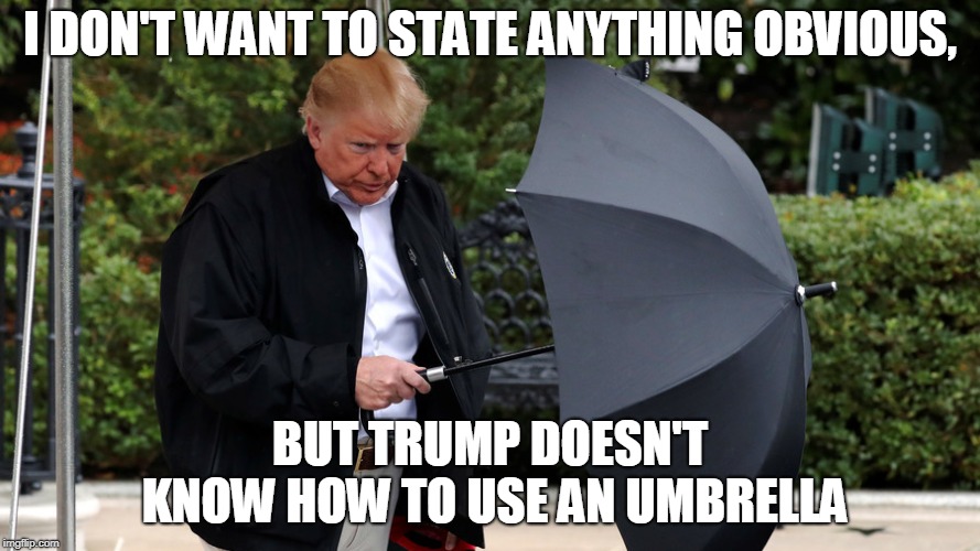 I don't want to state anything obvious... | I DON'T WANT TO STATE ANYTHING OBVIOUS, BUT TRUMP DOESN'T KNOW HOW TO USE AN UMBRELLA | image tagged in trumprella,funny,memes,politics,umbrella,donald trump | made w/ Imgflip meme maker
