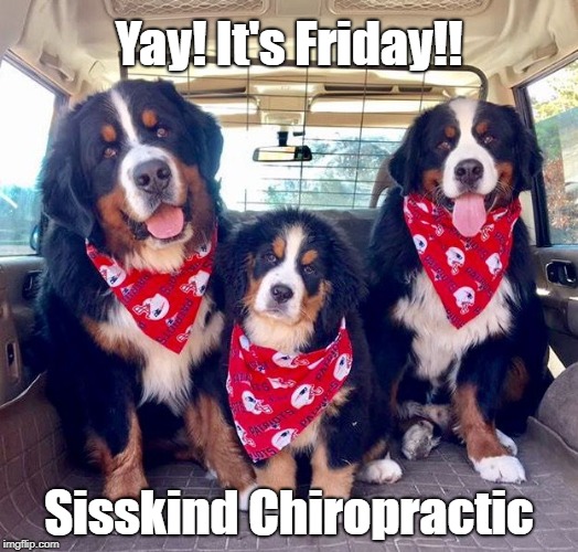 Yay! It's Friday!! Sisskind Chiropractic | image tagged in yay it's friday | made w/ Imgflip meme maker