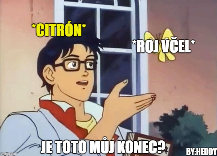 Is This Meme | *CITRÓN*; *ROJ VČEL*; JE TOTO MŮJ KONEC? BY:HEDDY | image tagged in is this meme | made w/ Imgflip meme maker