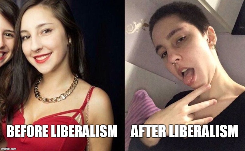 Iono, maybe liberal beta males are attracted to the "after liberalism" females. They're sickies. | AFTER LIBERALISM; BEFORE LIBERALISM | image tagged in liberalism,disease | made w/ Imgflip meme maker
