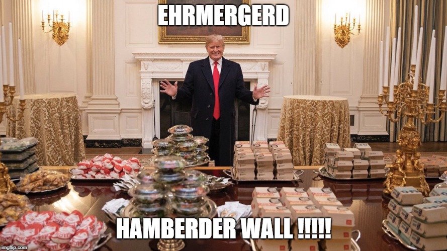 Trump Burger | EHRMERGERD; HAMBERDER WALL !!!!! | image tagged in trump burger | made w/ Imgflip meme maker