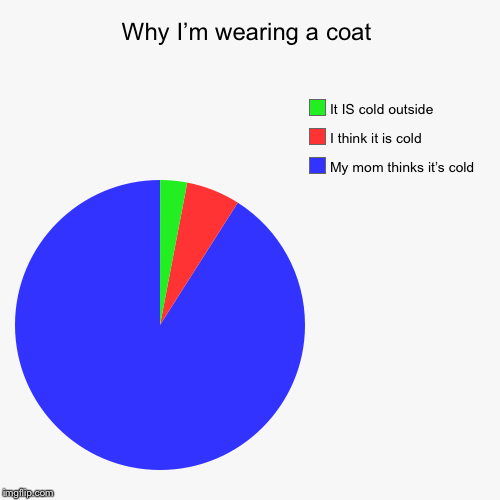 Why I’m wearing a coat | My mom thinks it’s cold, I think it is cold, It IS cold outside | image tagged in funny,pie charts | made w/ Imgflip chart maker