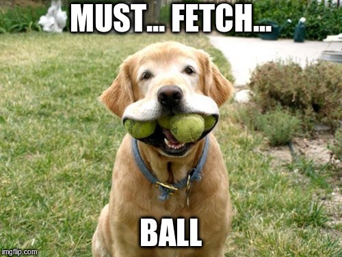 MUST... FETCH... BALL | made w/ Imgflip meme maker