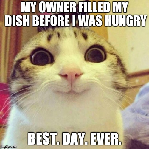 Best. Day. Ever. | MY OWNER FILLED MY DISH BEFORE I WAS HUNGRY; BEST. DAY. EVER. | image tagged in memes,smiling cat | made w/ Imgflip meme maker