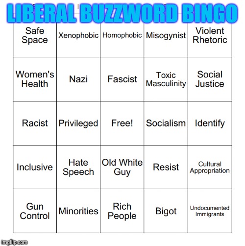 EVERY space should be free! | LIBERAL BUZZWORD BINGO | image tagged in liberal,bingo,leftist,trump,game,conservatives | made w/ Imgflip meme maker