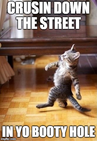 Cool Cat Stroll | CRUSIN DOWN THE STREET; IN YO BOOTY HOLE | image tagged in memes,cool cat stroll | made w/ Imgflip meme maker
