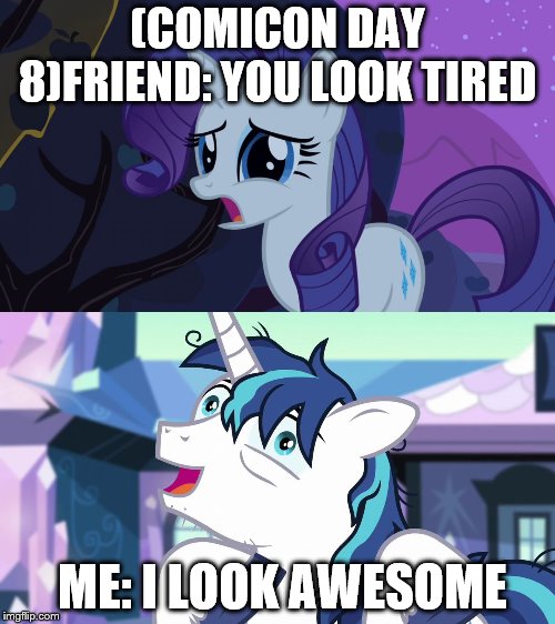 (COMICON DAY 8)FRIEND:
YOU LOOK TIRED; ME: I LOOK AWESOME | image tagged in mlp rarity disapointed,mlp_shiningarmor | made w/ Imgflip meme maker