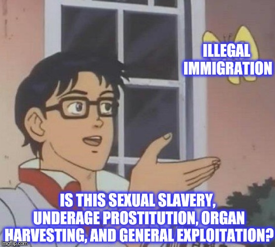 Is This A Pigeon Meme | IS THIS SEXUAL SLAVERY, UNDERAGE PROSTITUTION, ORGAN HARVESTING, AND GENERAL EXPLOITATION? ILLEGAL IMMIGRATION | image tagged in memes,is this a pigeon | made w/ Imgflip meme maker