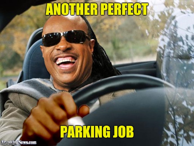 Stevie Wonder Driving | ANOTHER PERFECT PARKING JOB | image tagged in stevie wonder driving | made w/ Imgflip meme maker