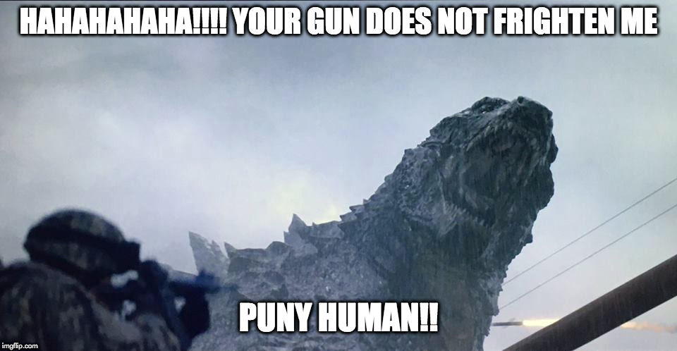 puny human | HAHAHAHAHA!!!! YOUR GUN DOES NOT FRIGHTEN ME; PUNY HUMAN!! | image tagged in godzilla approved | made w/ Imgflip meme maker