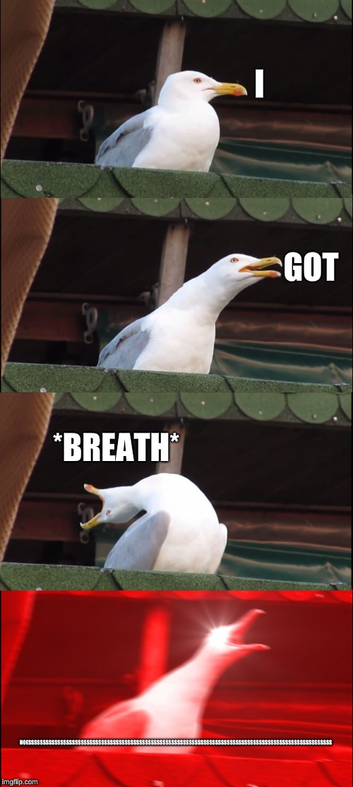 Inhaling Seagull | I; GOT; *BREATH*; HOESSSSSSSSSSSSSSSSSSSSSSSSSSSSSSSSSSSSSSSSSSSSSSSSSSSSSSSSSSSSSSSSSSSSSSSSSSSSSSSSSSSSSSSSSSSSSSSSSSSSSSSS | image tagged in memes,inhaling seagull | made w/ Imgflip meme maker