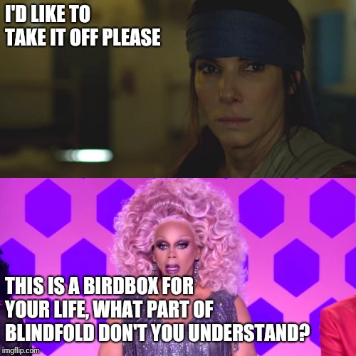 I'D LIKE TO TAKE IT OFF PLEASE; THIS IS A BIRDBOX FOR YOUR LIFE, WHAT PART OF BLINDFOLD DON'T YOU UNDERSTAND? | image tagged in birdbox for your life | made w/ Imgflip meme maker