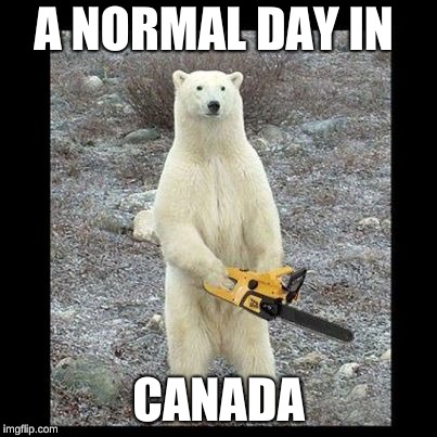 Chainsaw Bear Meme | A NORMAL DAY IN; CANADA | image tagged in memes,chainsaw bear | made w/ Imgflip meme maker