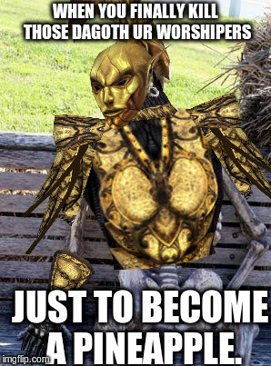 Darn those dang cultists! | WHEN YOU FINALLY KILL THOSE DAGOTH UR WORSHIPERS; JUST TO BECOME A PINEAPPLE. | image tagged in memes,waiting skeleton,morrowind,gaming,the elder scrolls | made w/ Imgflip meme maker