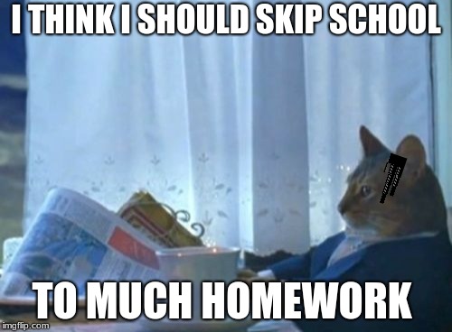 I Should Buy A Boat Cat | I THINK I SHOULD SKIP SCHOOL; TO MUCH HOMEWORK | image tagged in memes,i should buy a boat cat | made w/ Imgflip meme maker