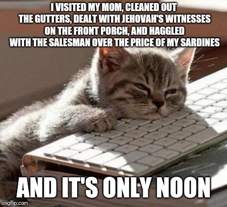 tired cat | I VISITED MY MOM, CLEANED OUT THE GUTTERS, DEALT WITH JEHOVAH'S WITNESSES ON THE FRONT PORCH, AND HAGGLED WITH THE SALESMAN OVER THE PRICE OF MY SARDINES; AND IT'S ONLY NOON | image tagged in tired cat | made w/ Imgflip meme maker