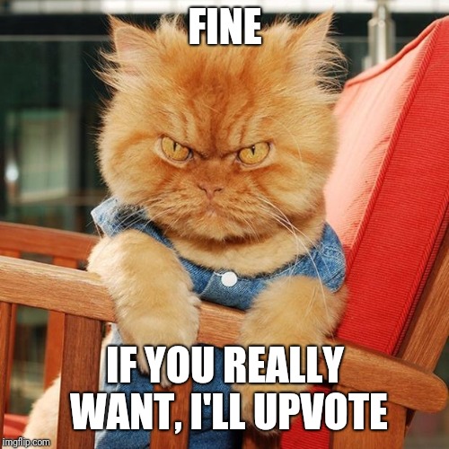 Garfi The Angry Cat | FINE IF YOU REALLY WANT, I'LL UPVOTE | image tagged in garfi the angry cat | made w/ Imgflip meme maker