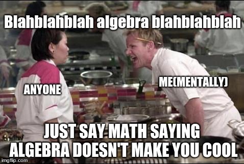 Angry Chef Gordon Ramsay Meme | Blahblahblah algebra blahblahblah; ME(MENTALLY); ANYONE; JUST SAY MATH SAYING ALGEBRA DOESN'T MAKE YOU COOL | image tagged in memes,angry chef gordon ramsay | made w/ Imgflip meme maker