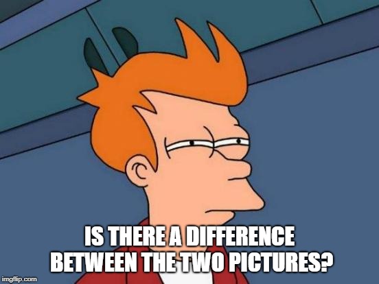 Futurama Fry Meme | IS THERE A DIFFERENCE BETWEEN THE TWO PICTURES? | image tagged in memes,futurama fry | made w/ Imgflip meme maker