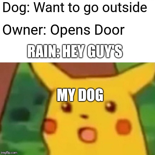 Surprised Pikachu | Dog: Want to go outside; Owner: Opens Door; RAIN: HEY GUY'S; MY DOG | image tagged in memes,surprised pikachu | made w/ Imgflip meme maker