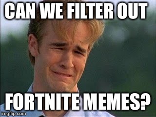 no more pls | CAN WE FILTER OUT FORTNITE MEMES? | image tagged in no more pls | made w/ Imgflip meme maker
